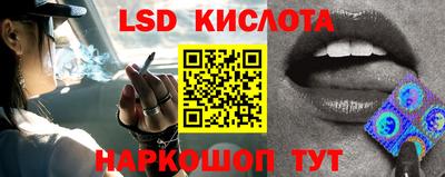 стаф Берёзовский