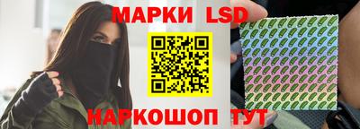 стаф Берёзовский