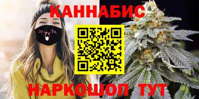 jwh Бийск