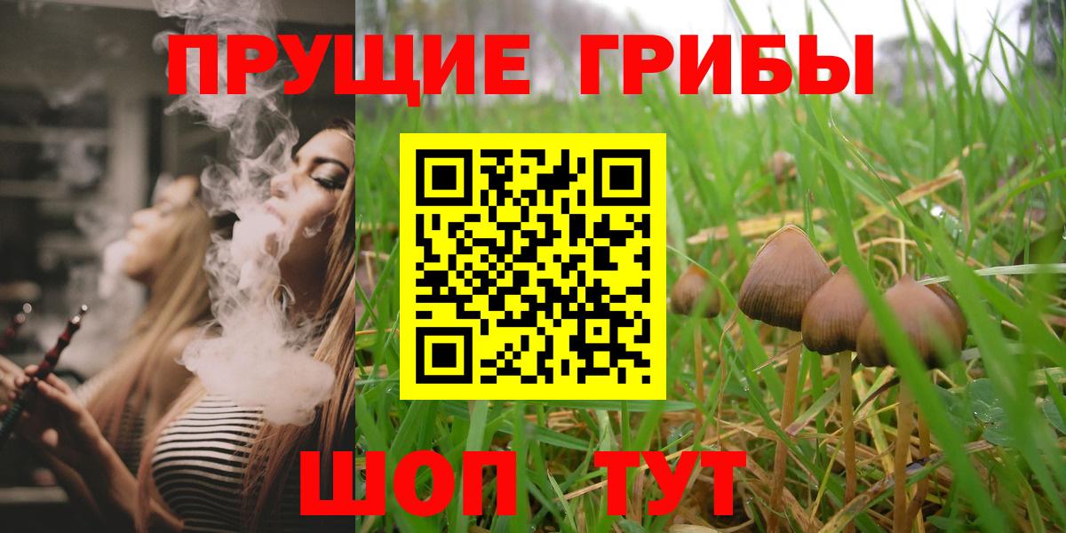 Галлюциногенные грибы прущие грибы Верхний Уфалей